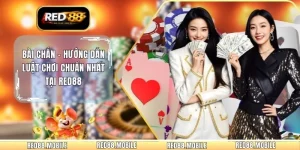 Bài Chắn – Hướng Dẫn Luật Chơi Chuẩn Nhất Tại RED88