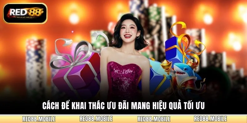 Cách để khai thác ưu đãi mang hiệu quả tối ưu