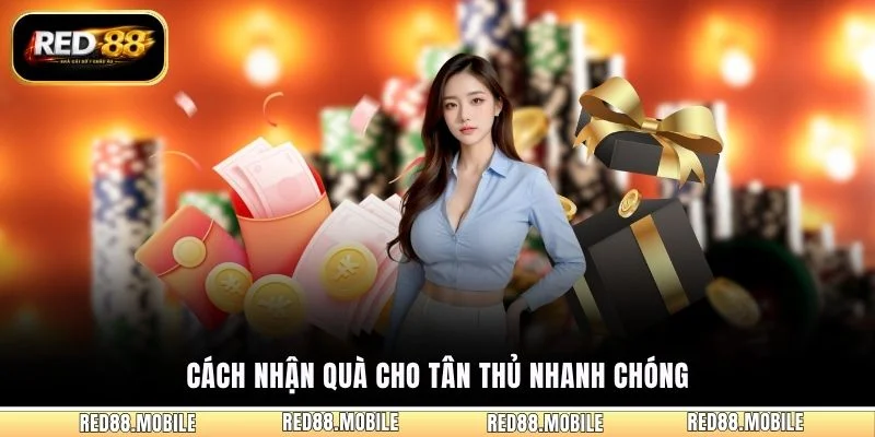 Cách nhận quà cho tân thủ nhanh chóng