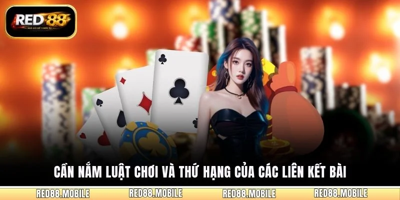 Cần nắm luật chơi và thứ hạng của các liên kết bài