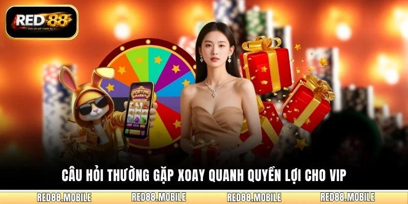 Câu hỏi thường gặp xoay quanh quyền lợi cho VIP