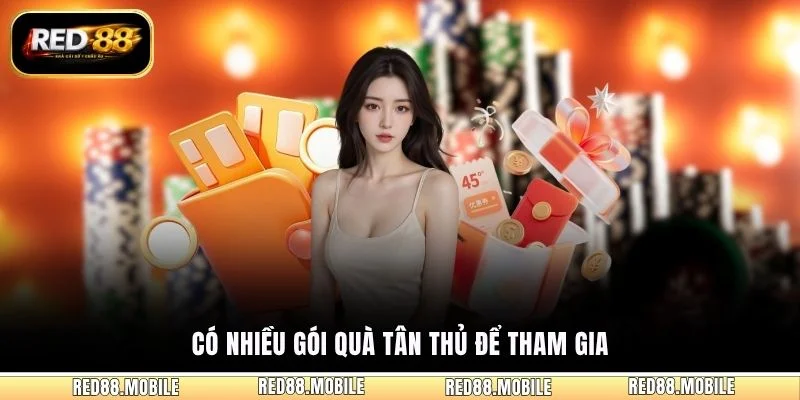 Có nhiều gói quà tân thủ để tham gia
