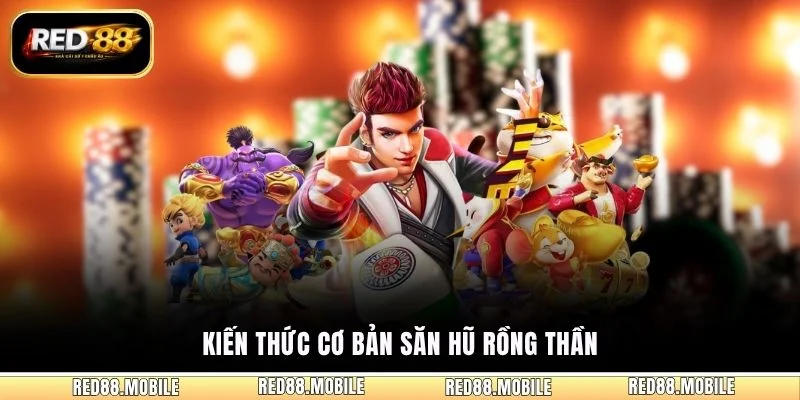Kiến thức cơ bản Săn Hũ Rồng Thần