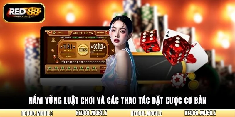 Nắm vững luật chơi và các thao tác đặt cược cơ bản