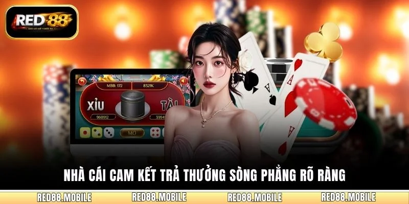 Nhà cái cam kết trả thưởng sòng phẳng rõ ràng