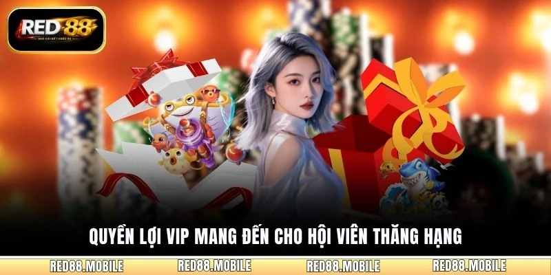 Quyền lợi VIP mang đến cho hội viên thăng hạng