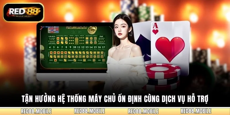 Tận hưởng hệ thống máy chủ ổn định cùng dịch vụ hỗ trợ