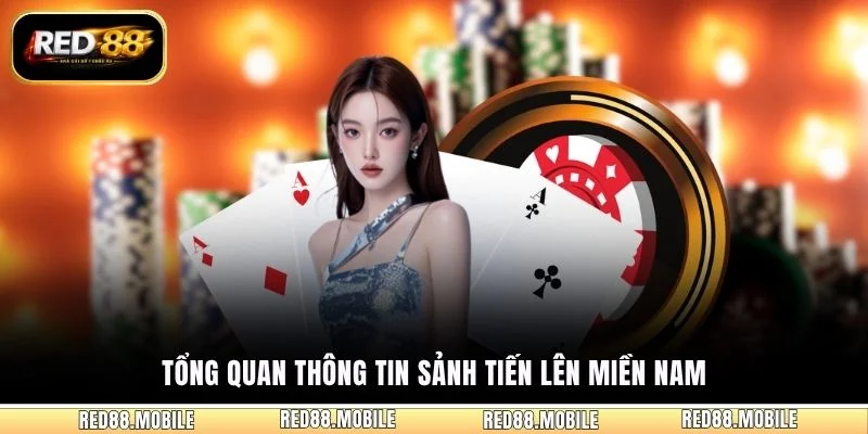 Tổng quan thông tin sảnh Tiến Lên Miền Nam